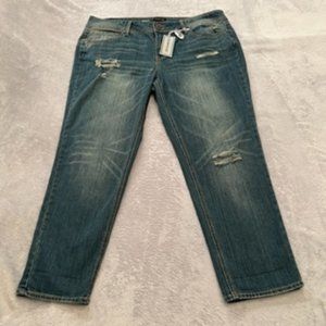 Rampage Women's Jeans 22W Blue